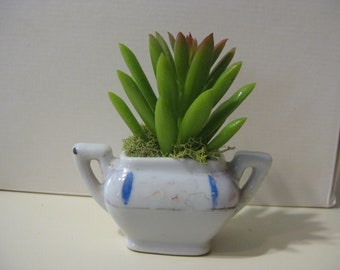 Petite succulente réaliste en latex souple et souple de couleur antique Vase à fleurs miniature en céramique, bol ; Porcelaine blanche, bordure bleue. Fausse plante