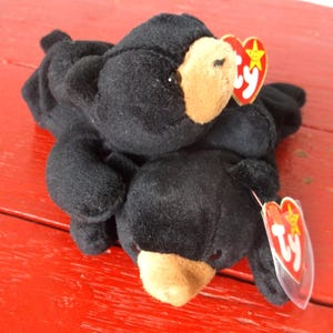 Rare 1994 Ty Blackie Beanie Baby Bear: Multiple Errors, Vintage Collectible