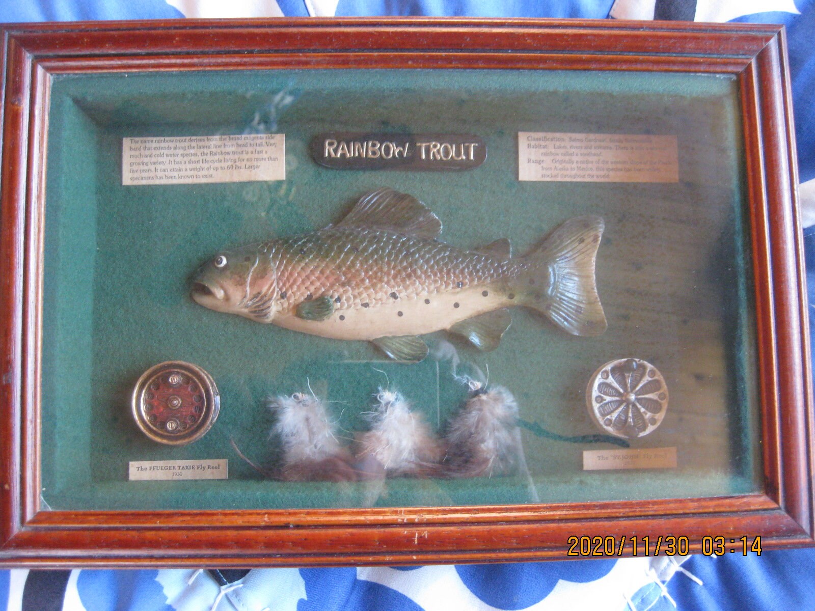 Boîte Ombrée Murale - Truite Arc-en-ciel - Pêche à La Mouche - Décoration Vintage En Bois
