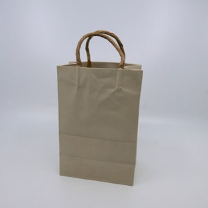 May include: A plain brown paper shopping bag with a twisted paper handle.