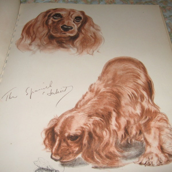 Reduced Price, Diana Thorne's DOGS, An Album of Drawings, Julian Messner, Inc. Publisher, 1944, various Breds, Rare, Vintage Book