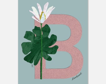 Arte da parete con alfabeto Wildflower / Lettera B Bloodroot / Aula o cameretta dei bambini