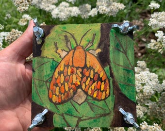 Flower Press | One-of-a-Kind Hand Painted Moth Wooden Flower Press | Wonder of the Night