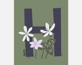 Wildflower Alphabet Wall art | Letter H Hepatica | Classroom or Kid’s Room