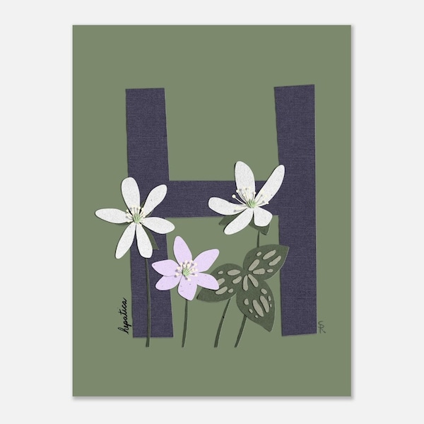 Wildflower Alphabet Wall art | Letter H Hepatica | Classroom or Kid’s Room