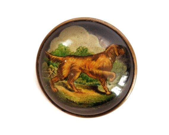 1910s Irish Setter Antique Bridle Rosette Brooch - image 1