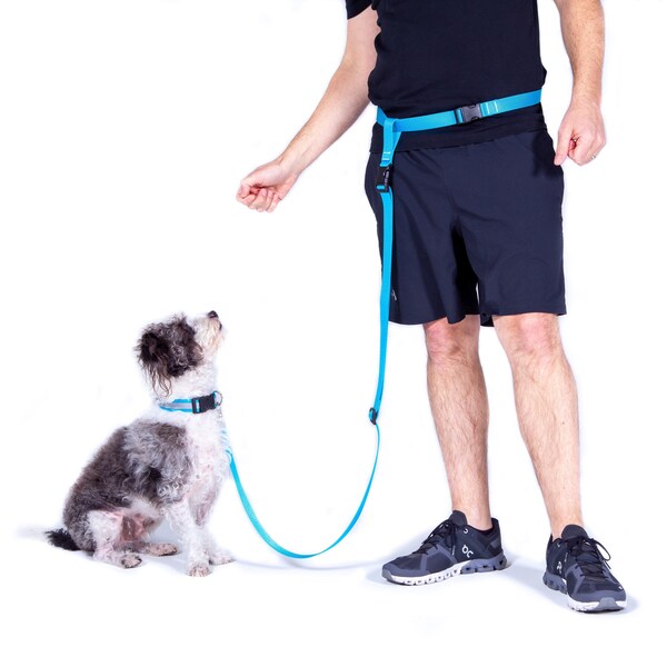 Hands Free Leash Etsy