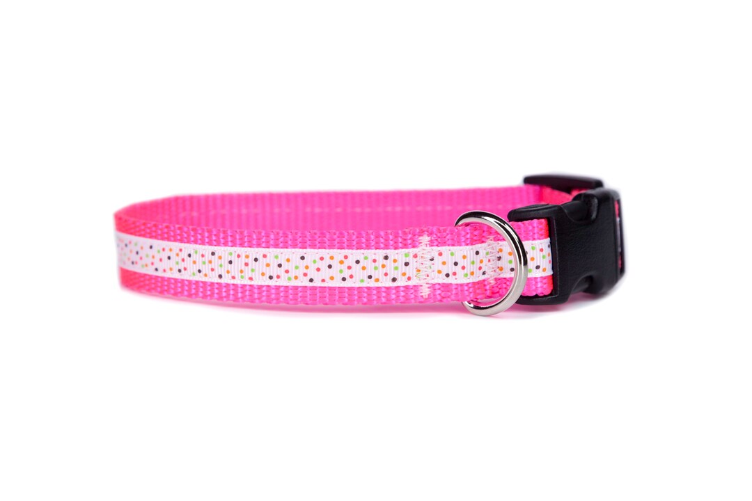 Summer Dog Collar Hot Pink Dog Collar Adorned With Pink, Black, Orange