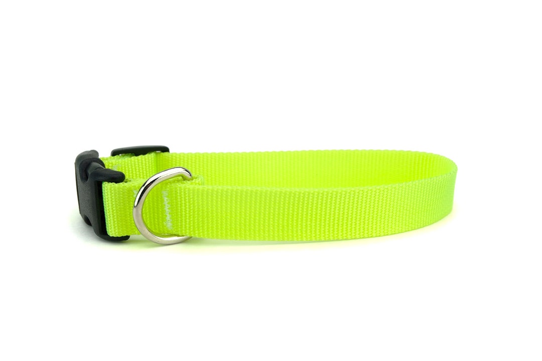 Neon Dog Collars, Hot Yellow Dog Collar, Neon Yellow, High Visibility