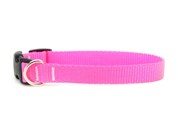 Coastal Pet Metal Buckle Nylon Personalized Dog Collar in Bright Pink, 1 Width