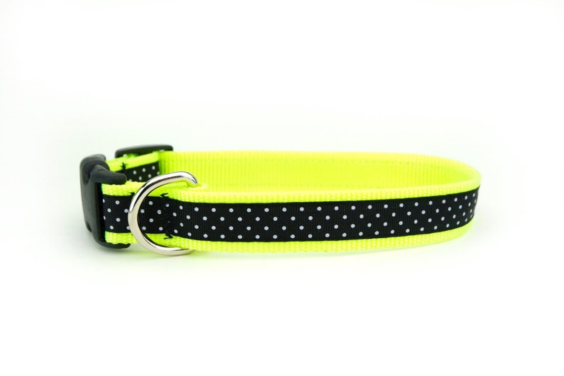 neon yellow dog collar