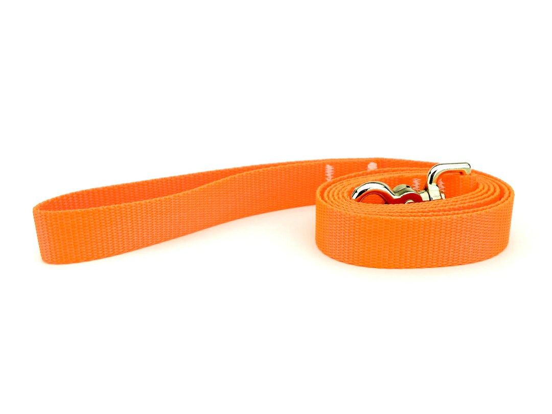 Neon Dog Leash Hot Orange Dog Leash Neon Orange Dog Leash Etsy