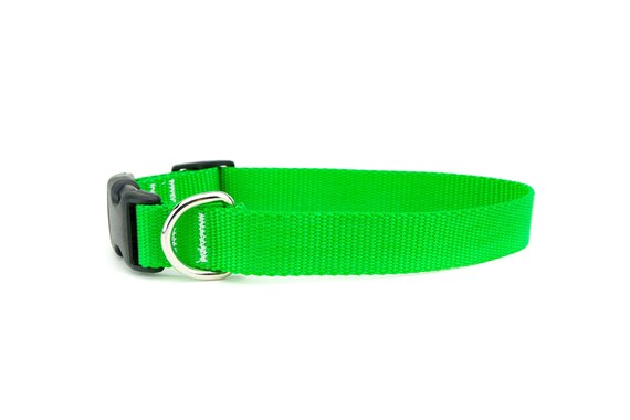 Neon collar Clearance