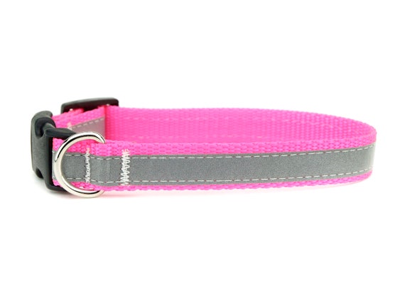 high visibility dog collar