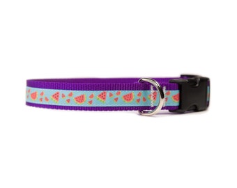 Watermelon delight Dog Collar on purple:  Perfect for summer park picnics, beach escapades and outdoor BBQ's!