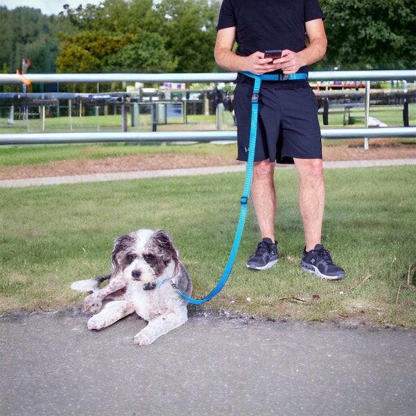 Handsfree wandel- en hardlooplijn voor uw hond, verstelbare heupriem en riemlengte, handig en comfortabel, probleemloze wandelingen