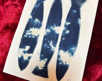 Botanical Fish Cyanotype