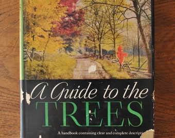 1925 A Guide to the Trees by Carlton C. Curtis, Ph.D.