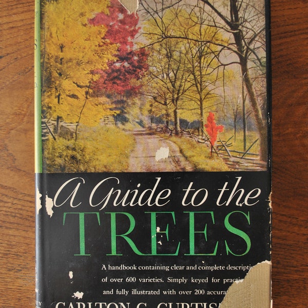 1925 A Guide to the Trees by Carlton C. Curtis, Ph.D.