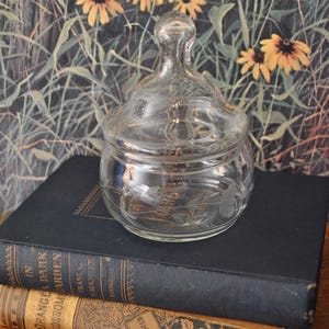 Vintage Small Etched Glass Candy Jar