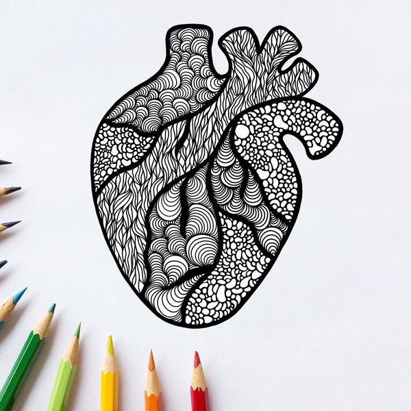 Anatomical Heart Zen Doodle Coloring Page (Print at Home!) Download - Downloadable Art