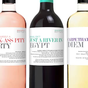 Break Up Survival Wine Kit - Etichette di bottiglie di vino per rottura o divorzio - Etichette champagne - Divertente e spiritoso - Set di 3