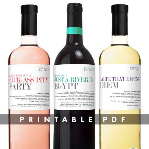 Printable PDF Break up Survival Wine Kit Set of 3 Wine or - Etsy