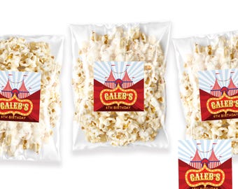 Circus Theme Birthday Favor Labels - Circus Party Favors - Kids Birthday Theme - Custom Circus Treat Bag Labels - Circus Birthday Favor