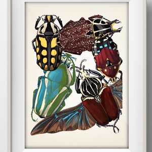 Insects no. 11 [1926] Insectes - IN-51 - Fine art print of a vintage natural history academia illustration