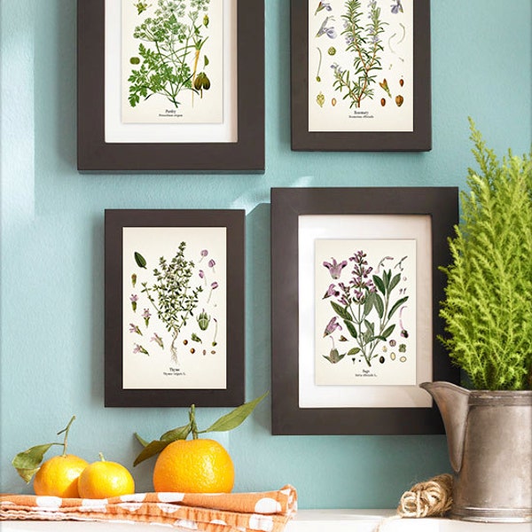 Herbs Vintage Print Kitchen Wall Art Set - Rosemary, Sage, Thyme, Parsley - Fine art prints of Kohler's vintage botanical illustrations