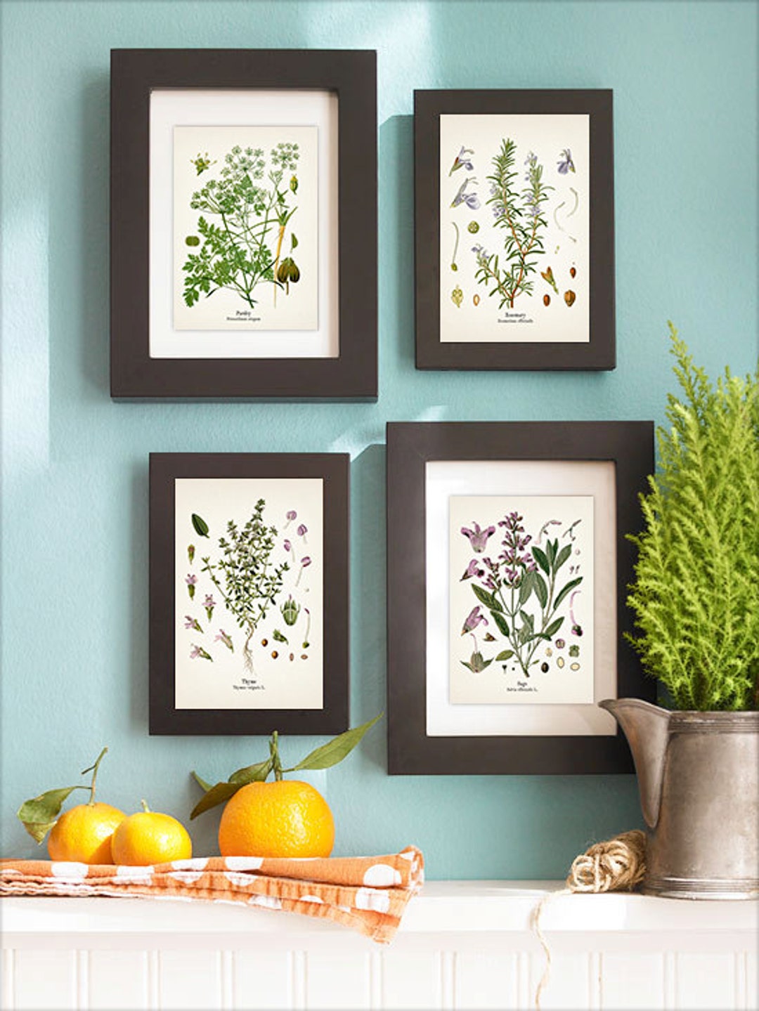 Herbs Vintage Print Kitchen Wall Art Set - Rosemary, Sage, Thyme ...