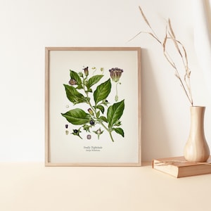 a framed botanical illustration of a plant with green leaves and purple flowers, placed on a shelf next to a wooden vase and a book.