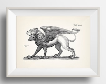 Griffin , Griffon, or Gryphon -OE-24- Fine art print of a vintage natural history dark academia scientific illustration. Oddities wall art