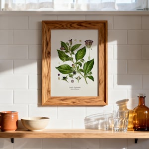 a wooden shelf with various items on it, including a framed botanical illustration, a brown glass bottle, a white bowl, and a brown ceramic mug.