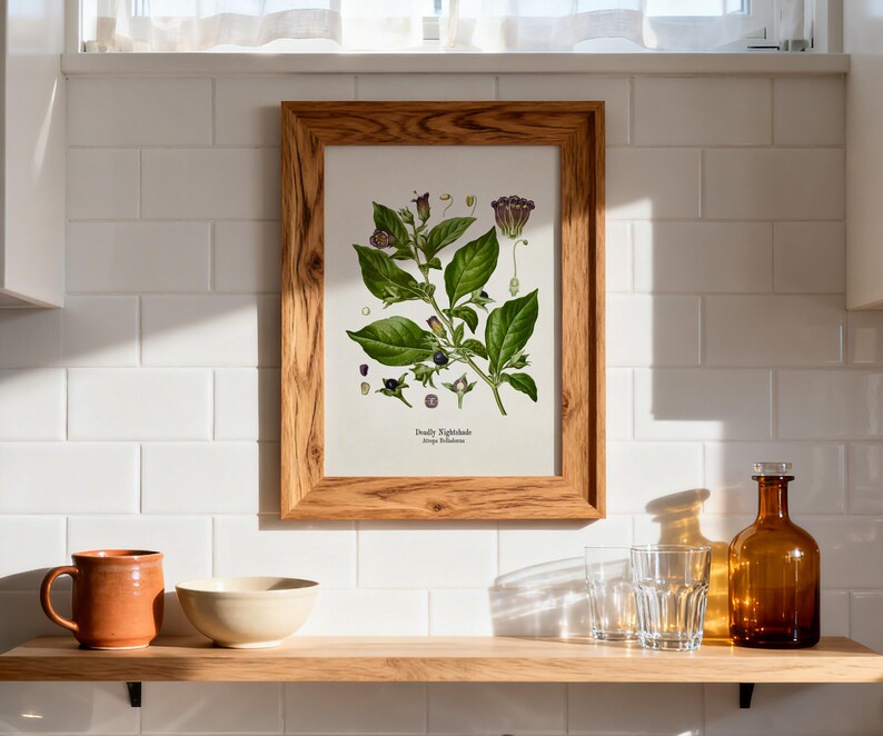 a wooden shelf with various items on it, including a framed botanical illustration, a brown glass bottle, a white bowl, and a brown ceramic mug.