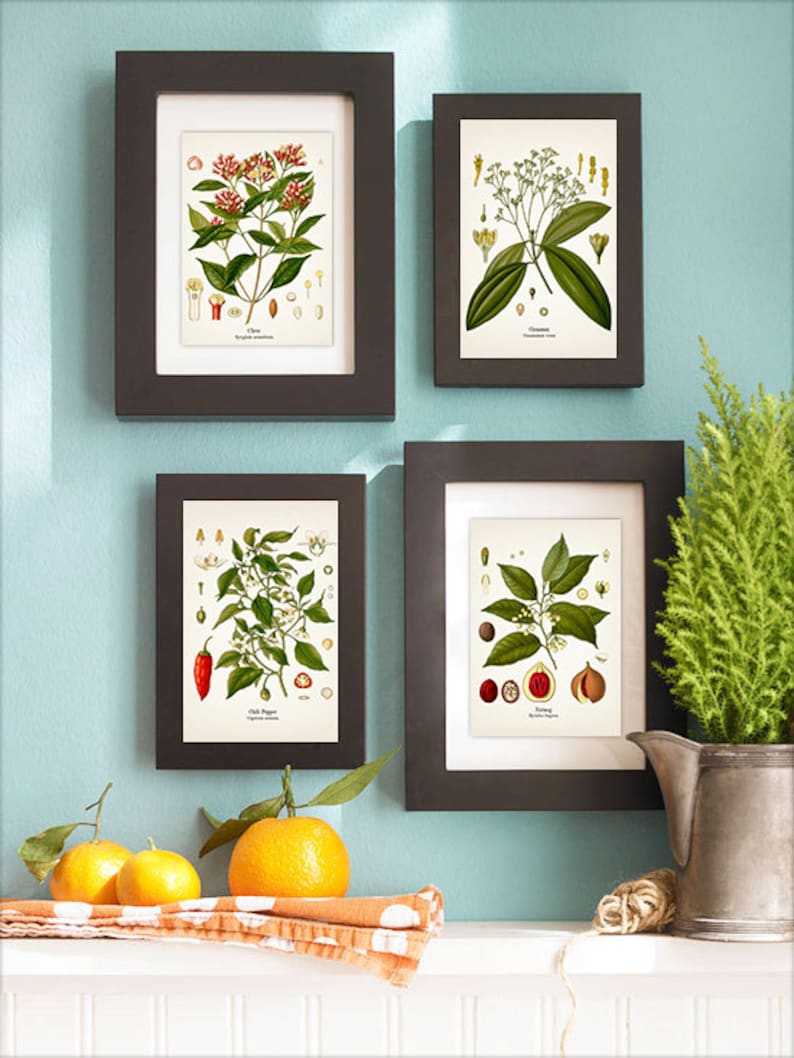 Spices Vintage Kitchen Wall Art Set Nutmeg Clove Cinnamon Etsy