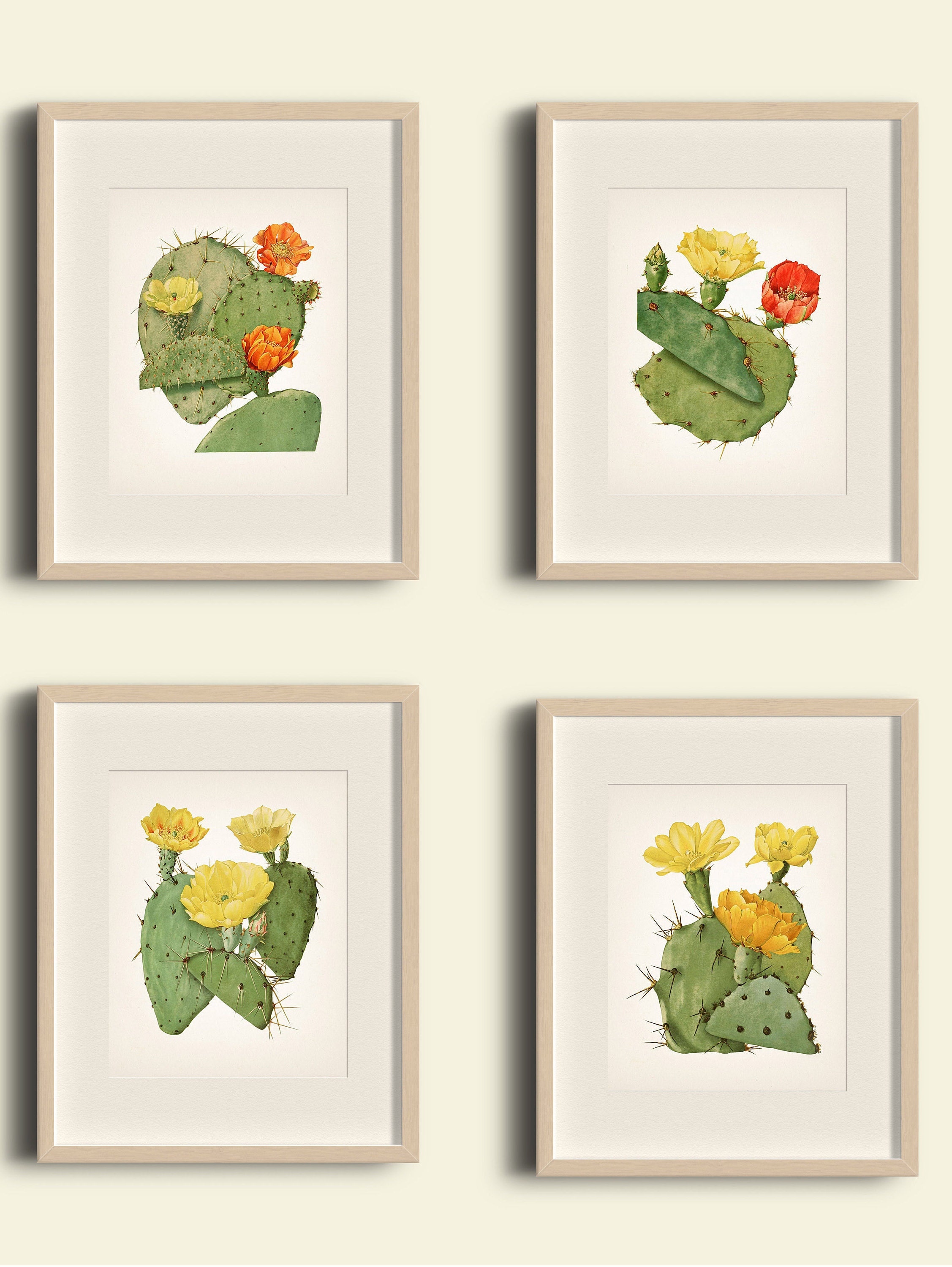 Prickly Pear Cactus Wall Art Set of Four PL50545560 Etsy