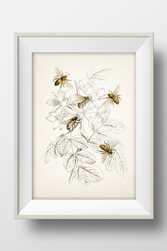 Bee Decor, Printable, Bee Decorations, Bee Print, Bee Wall Art, Bee Wall  Decor, Art Prints, Wall Art Prints, Vintage, Wall Art Printable 