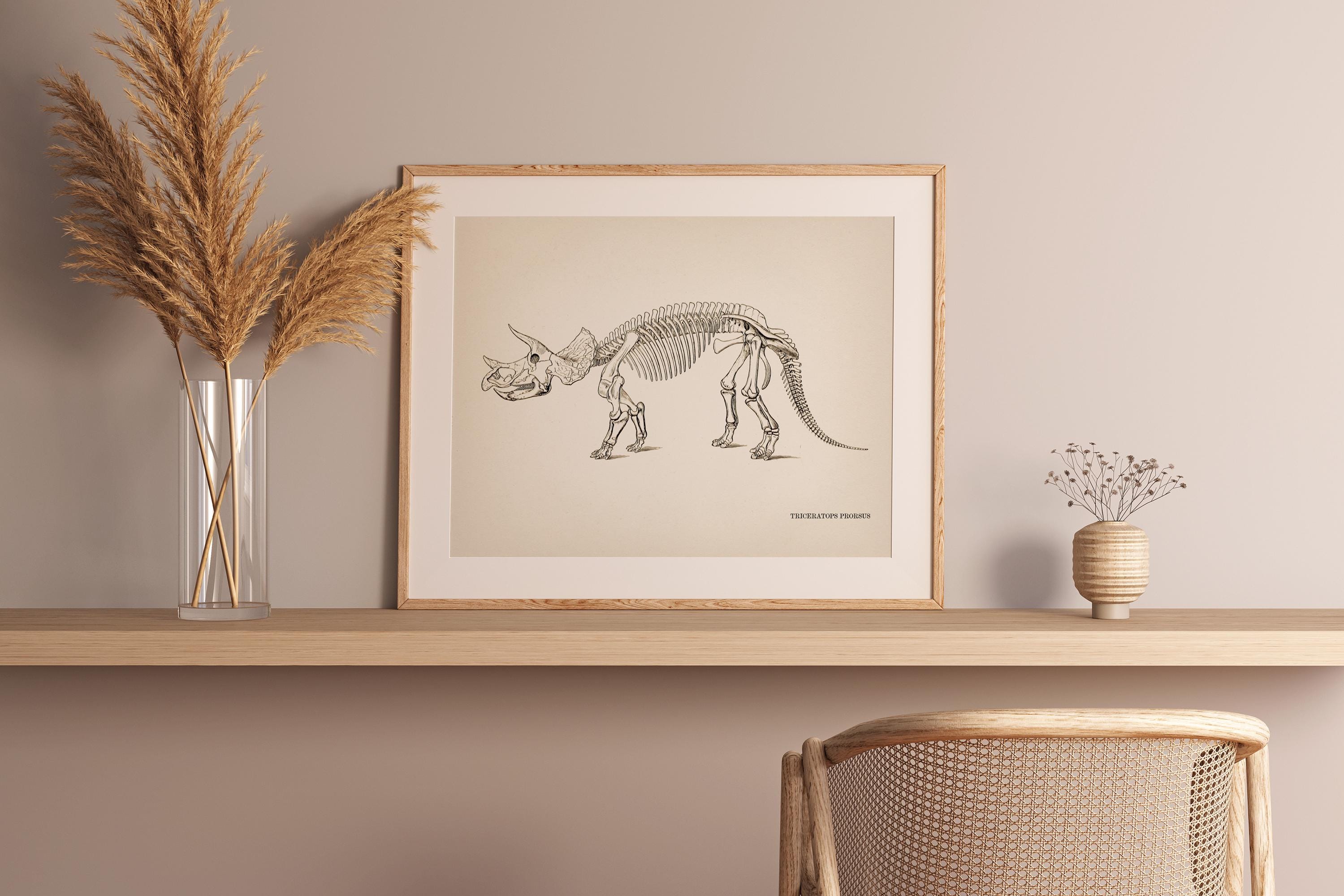 Vintage Triceratops Skeleton Drawing [1886] DI-01 Fine Art Print