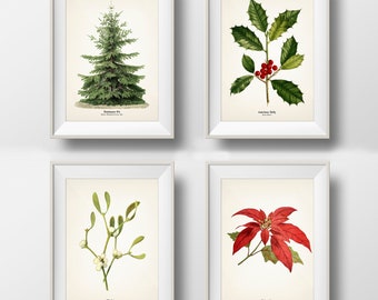 Christmas Holiday Botanical Prints Set of 4 - Holly, Mistletoe, Poinsettia, Christmas Tree - WITH or WITHOUT plant name on print