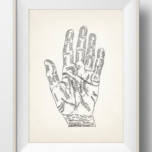 1899 Physiognomy and Palmistry Print -PP-18- Fine art print of a vintage scientific or pseudoscience academia medical illustration