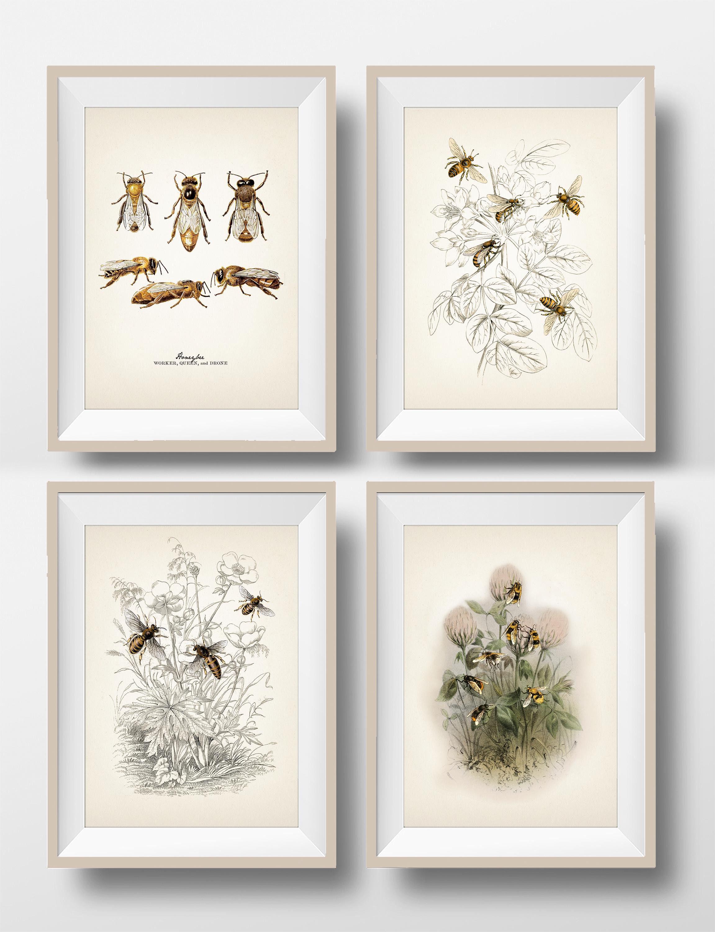 Honeybee Vintage Illustration Prints Set - State Symbol Art Print ...