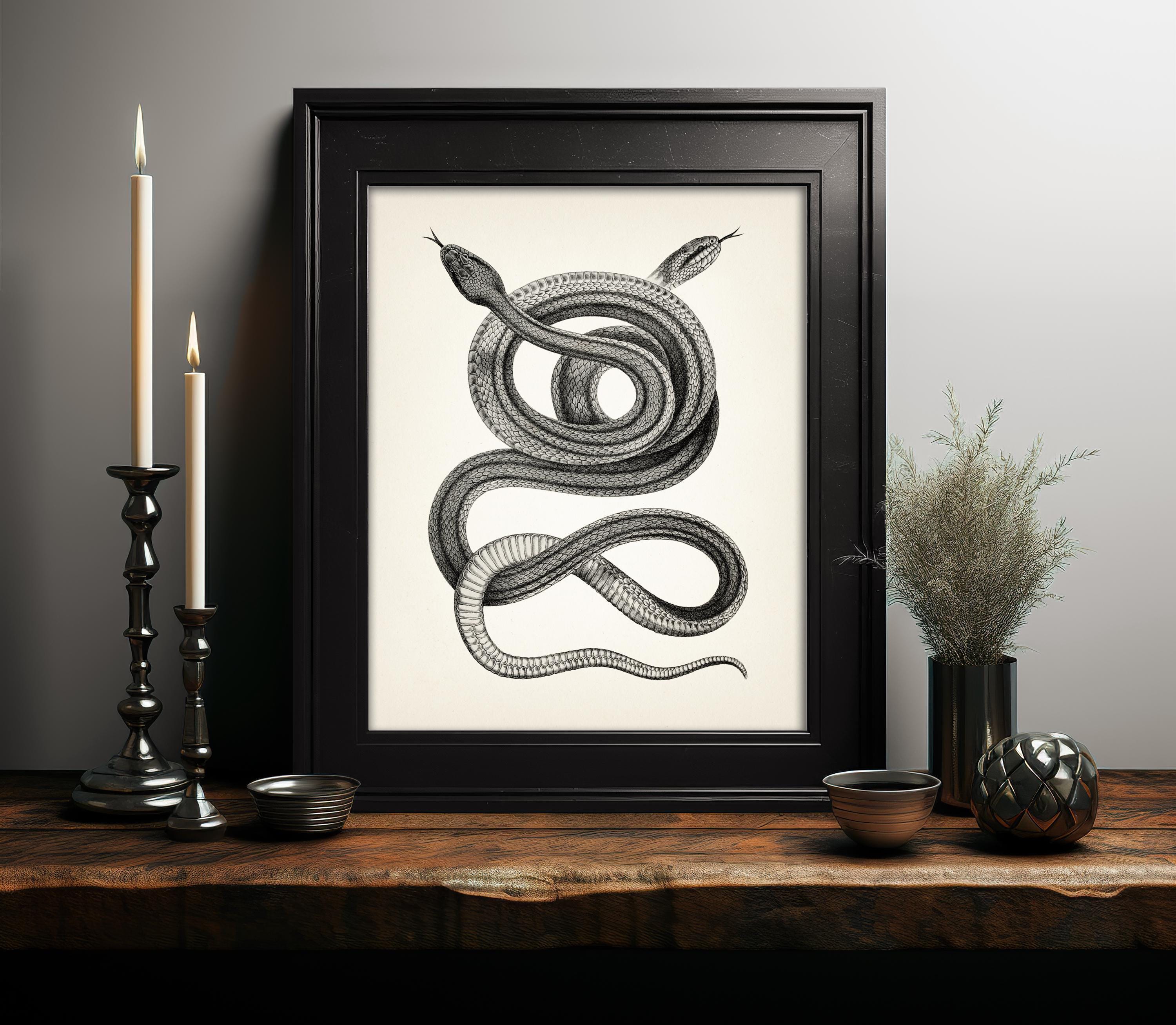 Four-lined Snakes Intertwined - RE-09 - Fine Art Print of a
