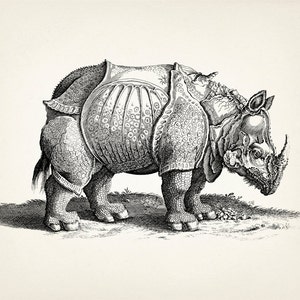 Durer's Rhino Engraving (1515) -  MA-07 - Fine art print of a vintage natural history academia illustration
