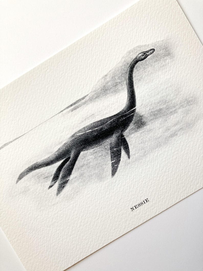 Nessie, Loch Ness Monster : Monster Series -OE-27- Fine art print of a vintage natural history academia scientific illustration. Cottagecore imagem 4