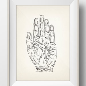 1899 Regions of Mental Influence Palmistry Print -PP-19 Fine art print of a vintage scientific or pseudoscience antique medical illustration
