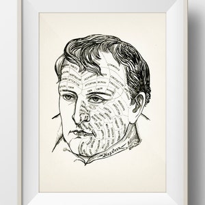 Mentality of Napoleon Phrenology Print - 1899 - PP-15 - Fine art print of a vintage scientific or pseudoscience antique medical illustration