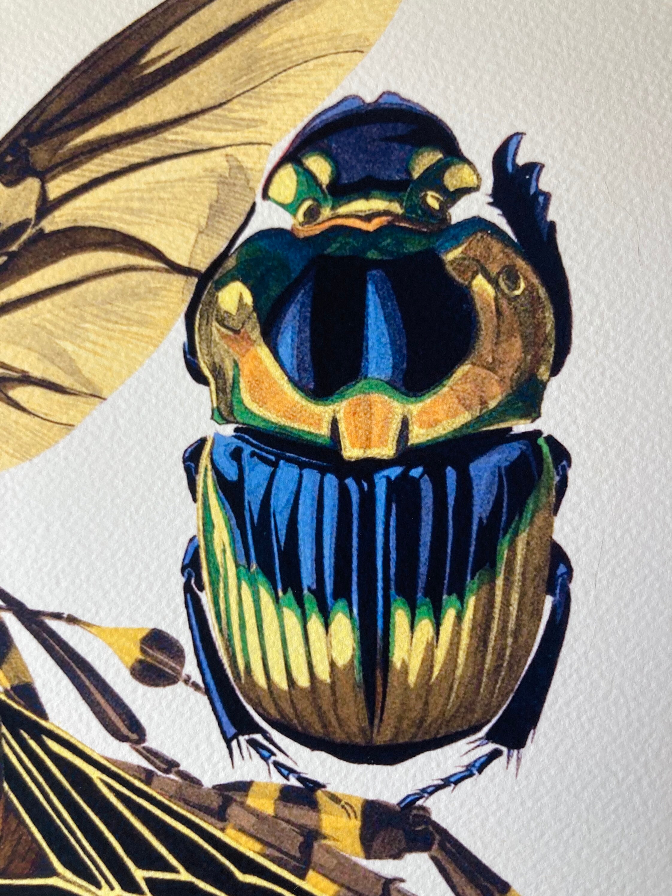 Insects No. 15 [1926] Insectes - IN-55 - Fine Art Print of a Vintage ...