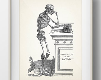 Skeleton Engraving 2 [1543] Scientific Anatomy Drawing - HU-19-29 Fine art print of a vintage natural history academia illustration
