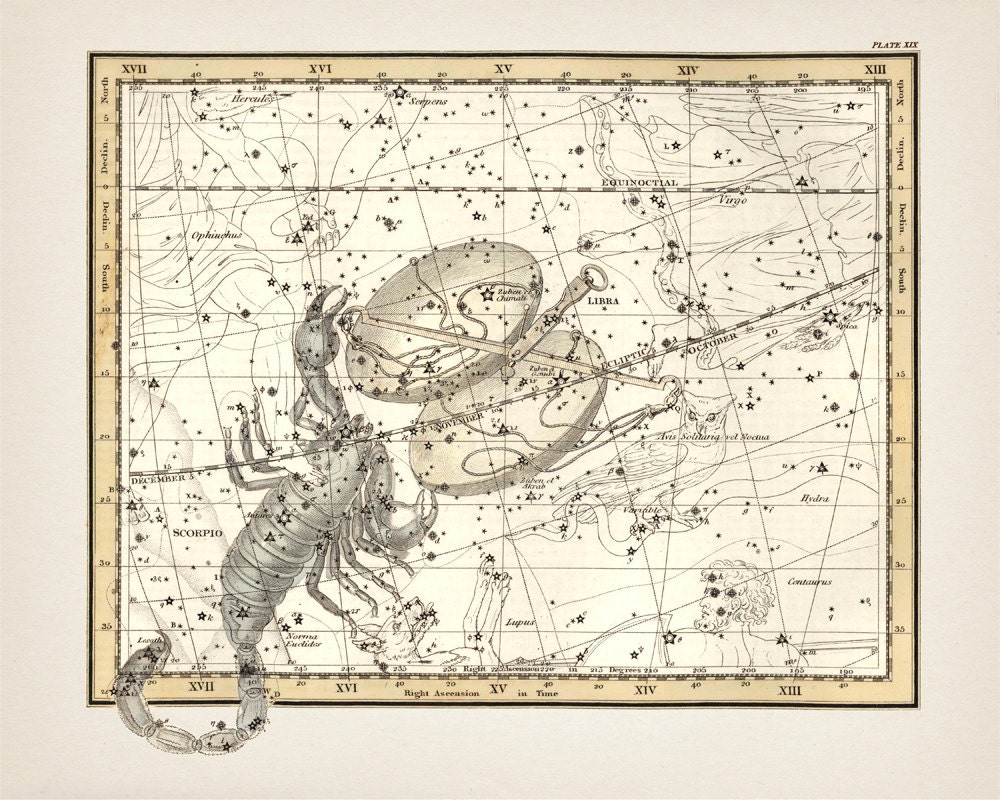 Libra and Scorpio Zodiac Sign Constellation - AS-19 -fine Art
